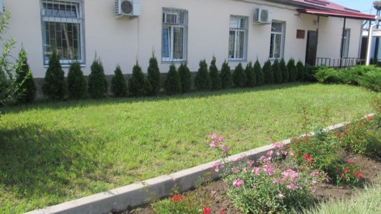 «Нижневеденеевский психоневрологический интернат»