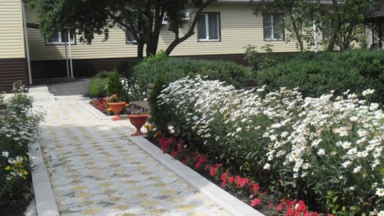 Лабинский дом социального обслуживания фото 3