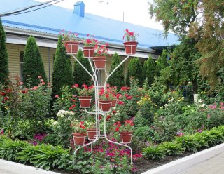 Константиновский психоневрологический интернат