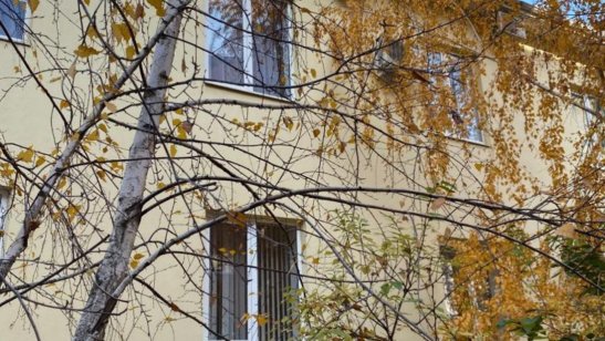 Пансионат Наши Традиции фото 3