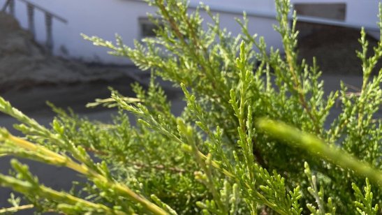 Пансионат Наши Традиции фото 4