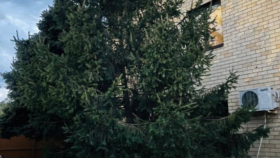 Пансионат «Доброе Сердце» фото 4