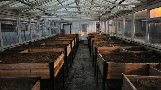 Пансионат «Доброе Сердце» фото 12