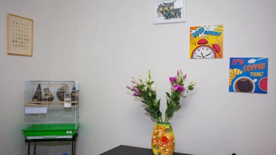 Пансионат Доверие фото 14