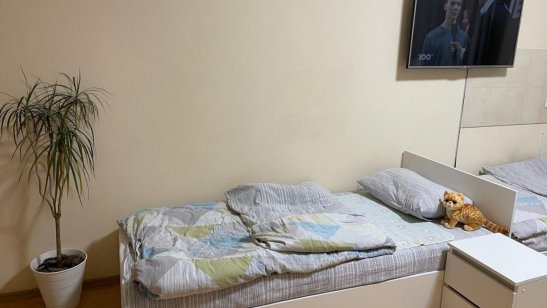 Оазис Тепла и Заботы на Кропоткина фото 12