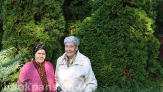 ГБУ СО КК «ГЦ «Екатеринодар» фото 4